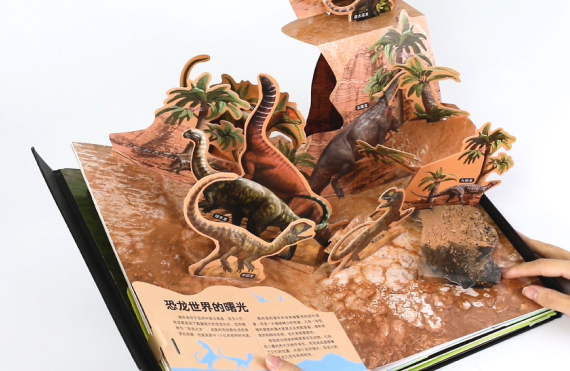 Pop-up Books